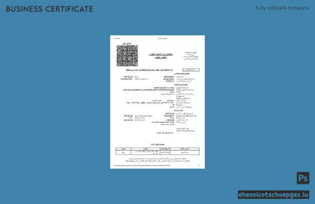 Beispielvorschau der Registrierungsurkunde von Tunis